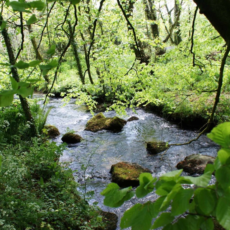 Cornish River