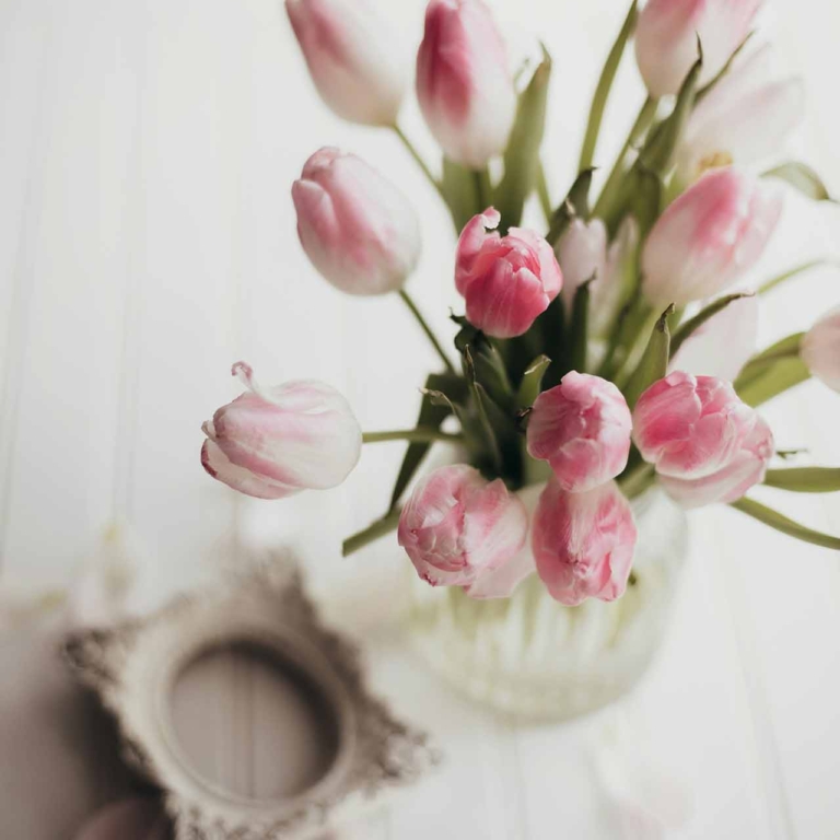 Cottage Garden Studio Tulips