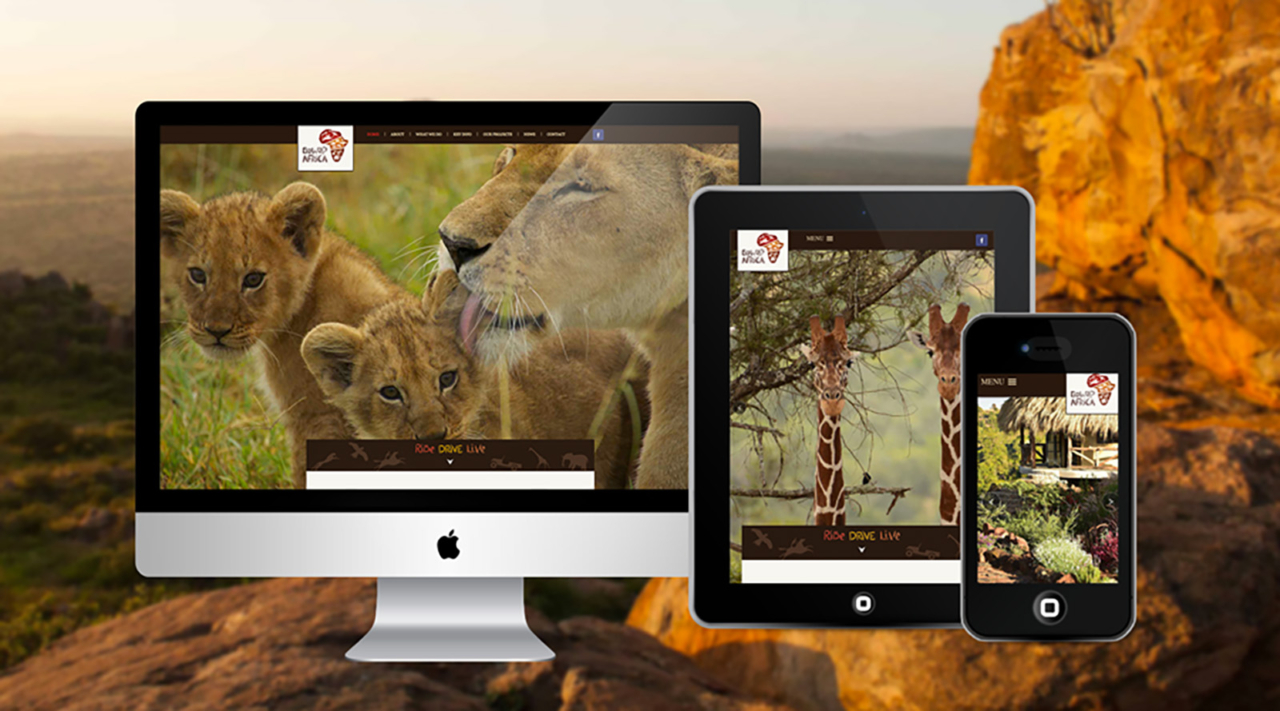 GoWild Africa Safari Holidays web design