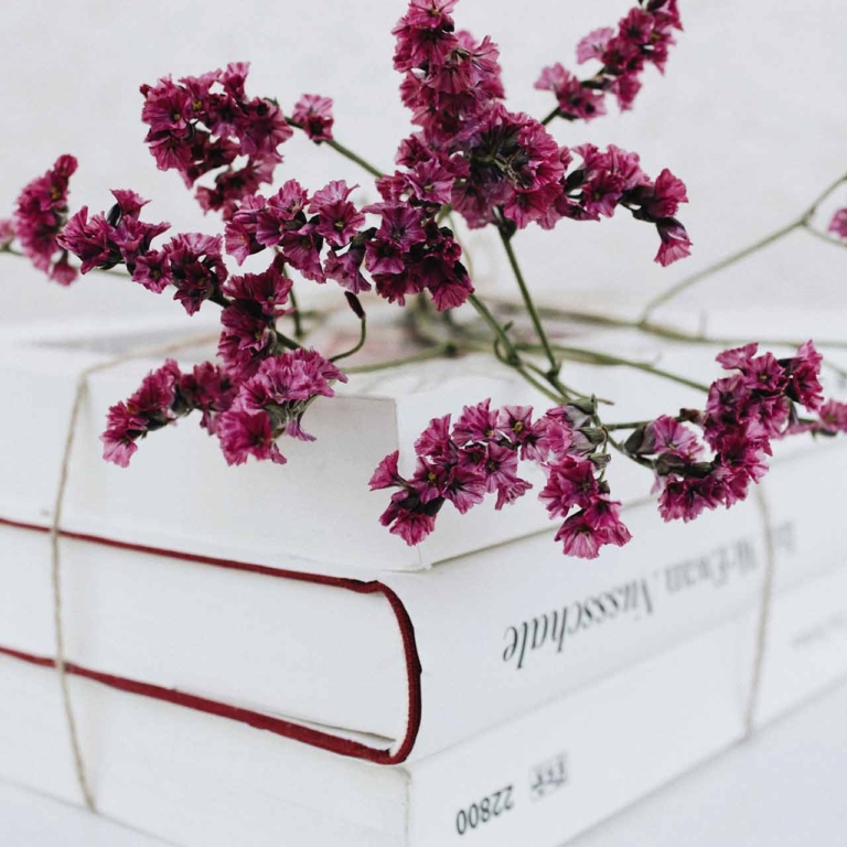 Cottage garden studio flowers and books