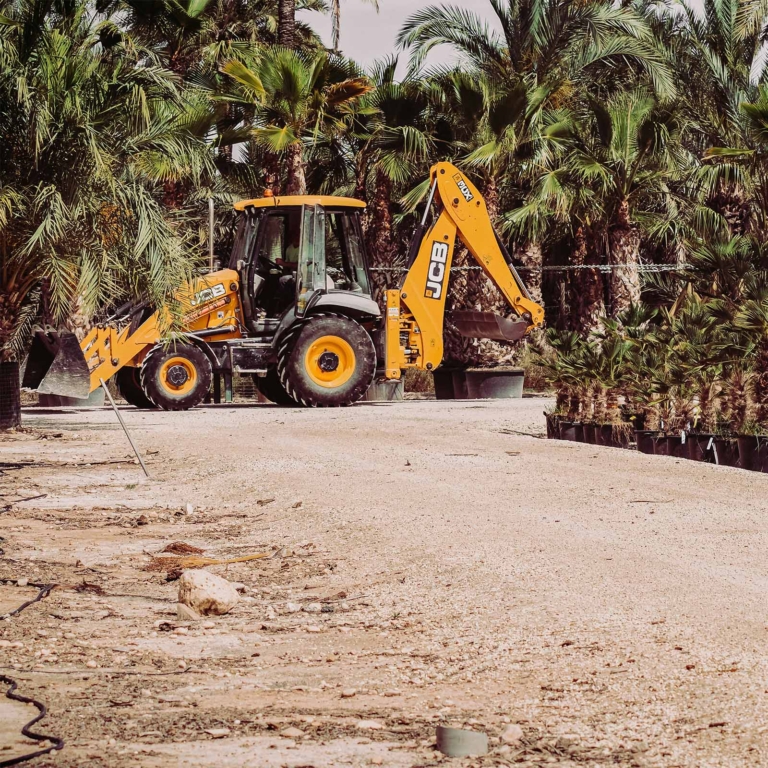 JCB in woods