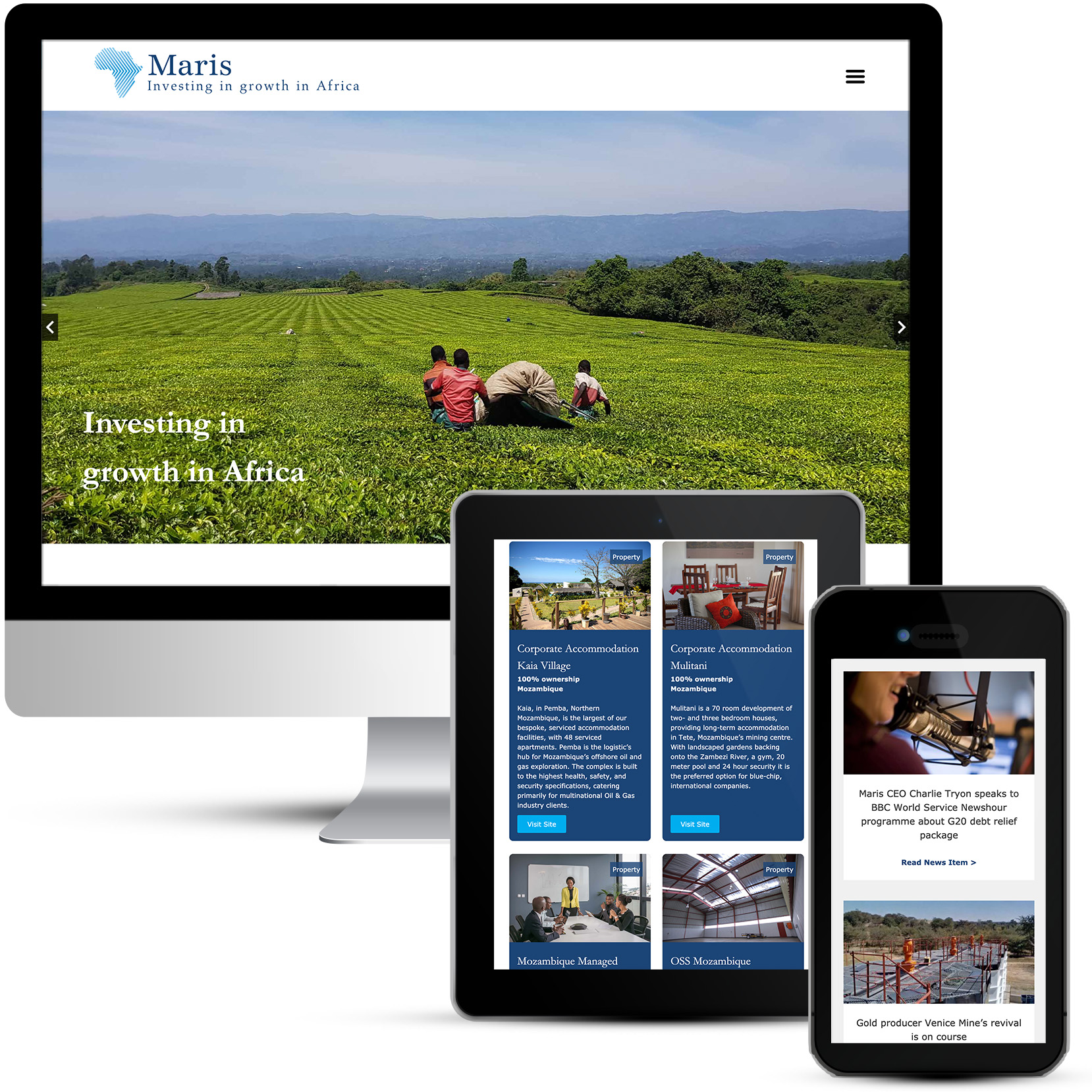 Maris Africa Corporate Business website design