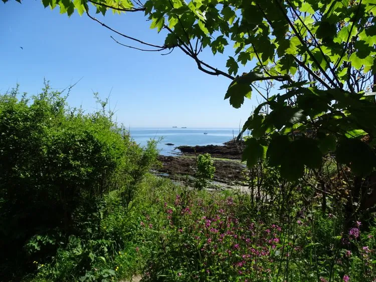 Cornish sea view