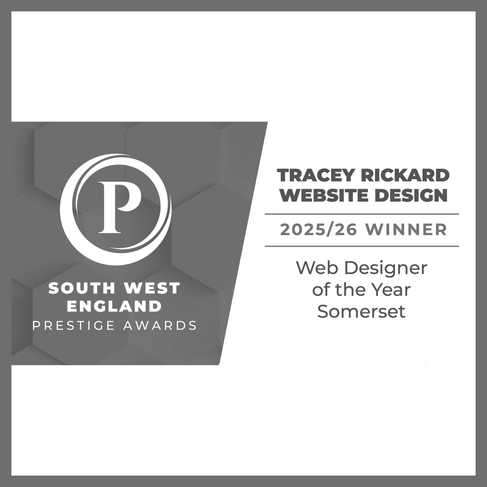 Web Designer of the Year Prestige Business Awards