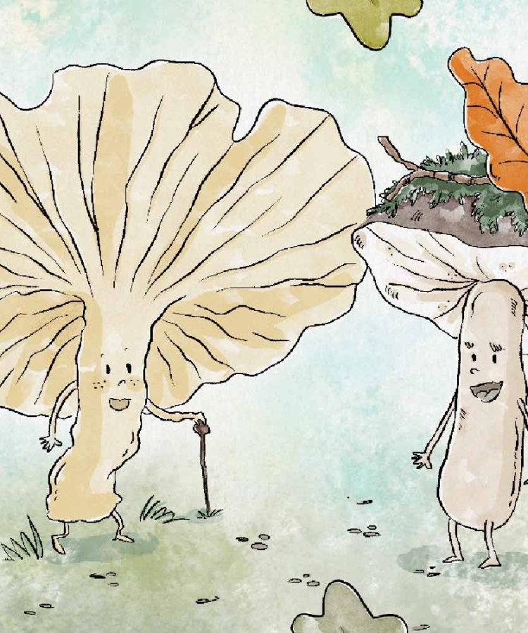 Nature Thyme Children's Book Author